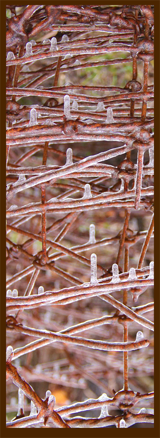 Austin Art Exhibits
